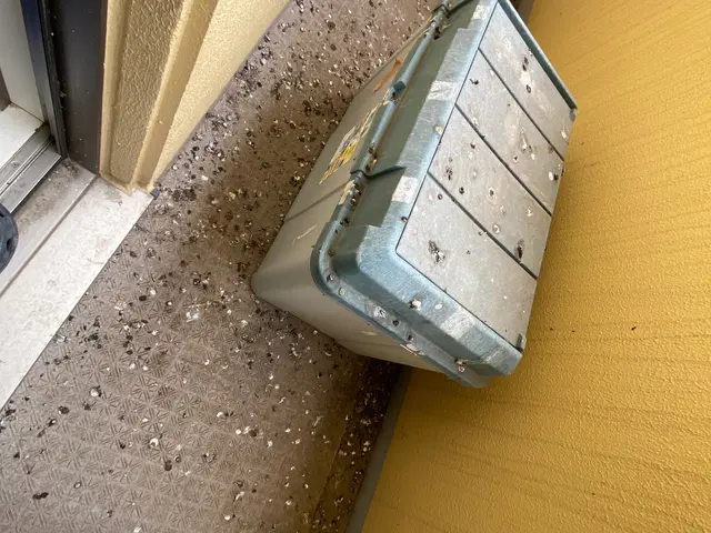 駆除の国家資格取得！除菌から消毒まで作業可能です！サービスの画像