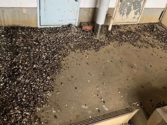 駆除の国家資格取得！除菌から消毒まで作業可能です！サービスの画像