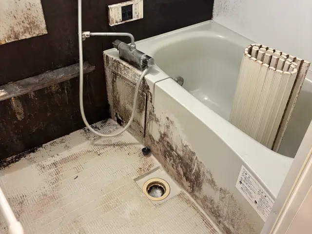 通常15,000円→12,000円割引中！大掃除に向けて早めのご予約を！サービスの画像