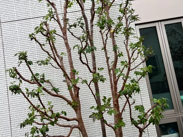 【大手経験有り】丁寧・迅速・安心！ベテラン店長が伺います！損害保険加入済み◎サービスの画像