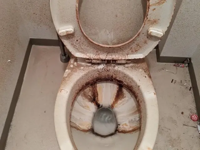 ★11月キャンペーン実施中★大手ハウス清掃兼務！気になる際はお問合せ下さい！サービスの画像