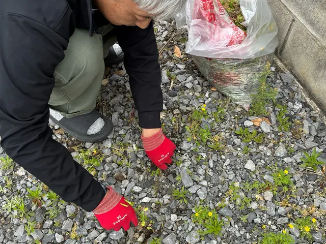 おそうじ屋さんの除草作業サービスの画像