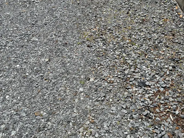 おそうじ屋さんの除草作業サービスの画像