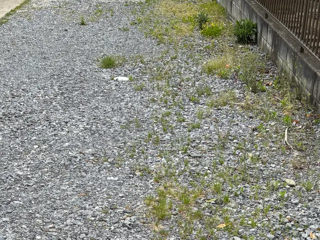 おそうじ屋さんの除草作業サービスの画像