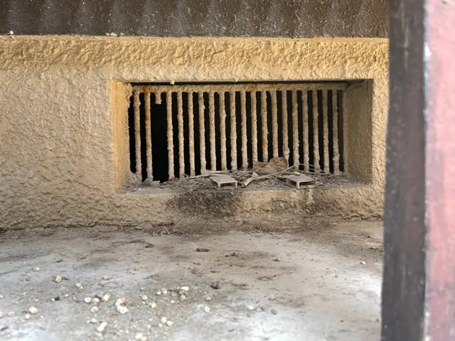 ネズミ駆除お任せ下さい！【業界10年以上！完全自社対応◎】サービスの画像