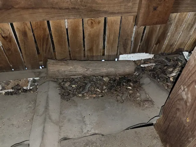 10年の実績で安心！笑顔と丁寧さで徹底駆除サービスの画像