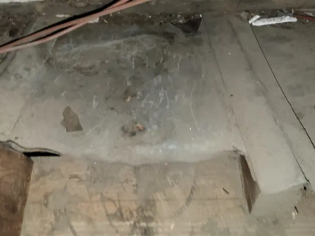 10年の実績で安心！笑顔と丁寧さで徹底駆除サービスの画像