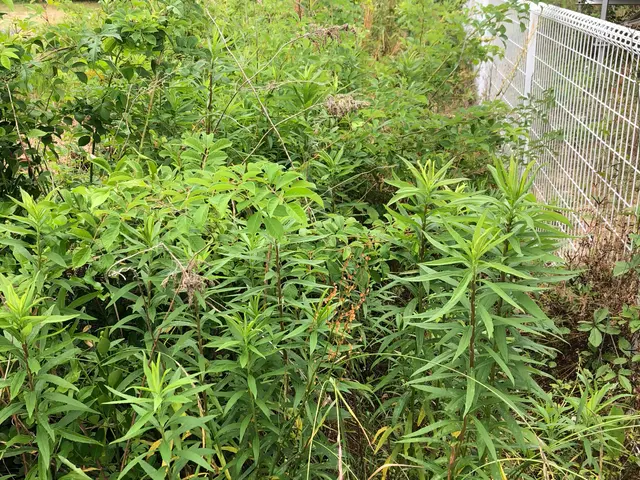 ＜山口市よりお伺いします！＞安心してご利用いただけるよう、精一杯対応いたします！サービスの画像