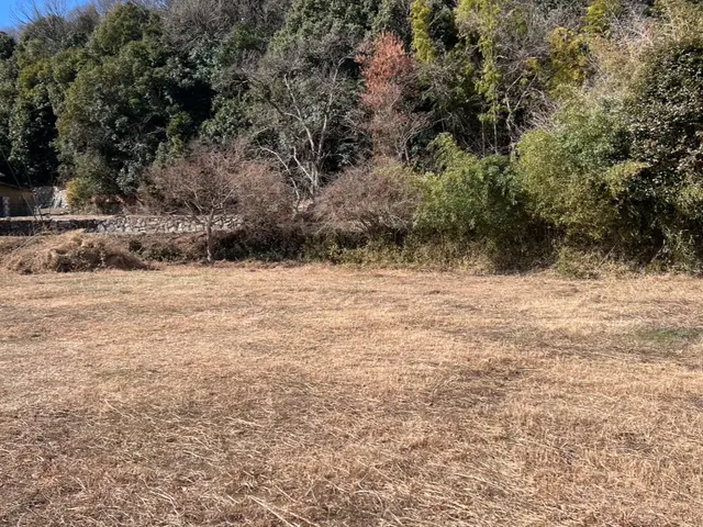 自社スタッフによる丁寧作業で隅々まで美しく！営業時間外・対応地域外も相談OKサービスの画像