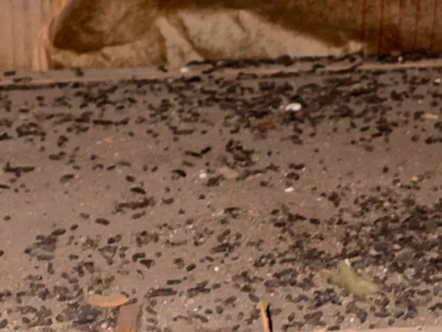 プロの技術でご満足いただけるように心を込めて作業いたしますサービスの画像