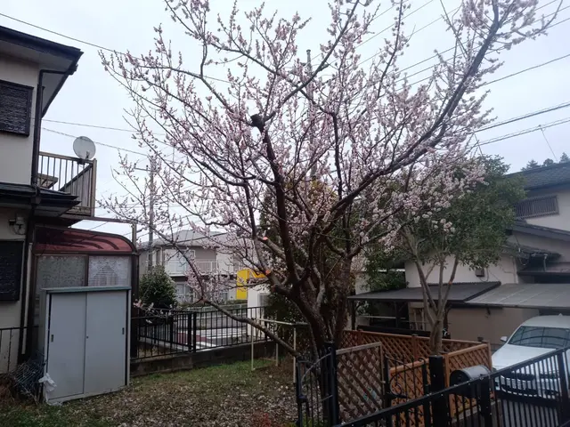 《成田市から伺います》作業外注一切なし◎駐車代は当店が負担します！サービスの画像