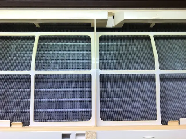 保護猫3匹と暮らす動物好き店長がお伺いします♪ペット目線のクリーニングで安心施工サービスの画像