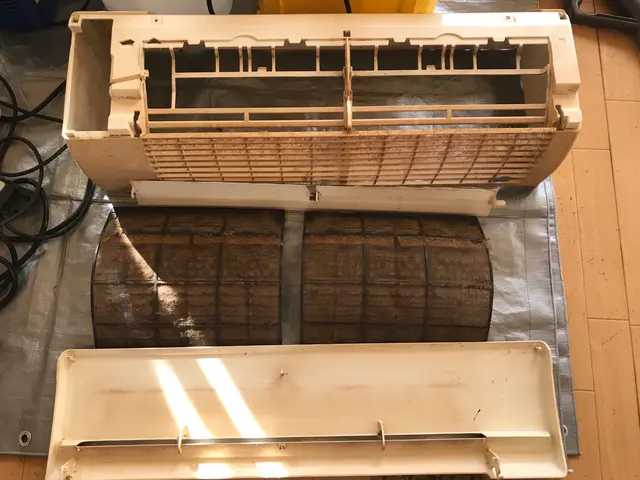 保護猫3匹と暮らす動物好き店長がお伺いします♪ペット目線のクリーニングで安心施工サービスの画像