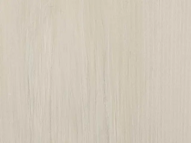 室内ドア陥没穴リペア☆外注一切無しプロのリペアマンがお伺い致します。サービスの画像