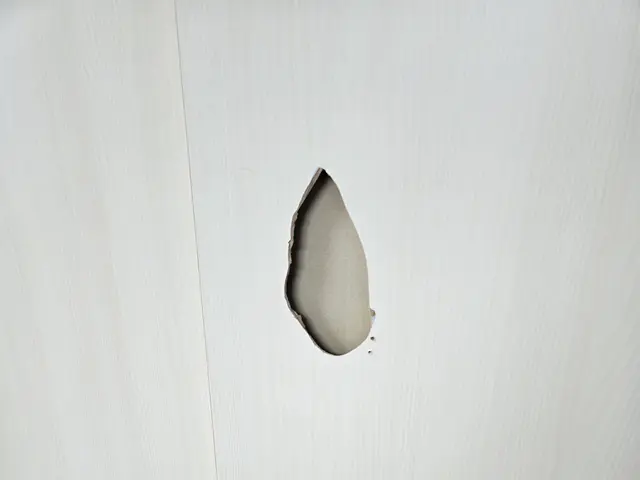 室内ドア陥没穴リペア☆外注一切無しプロのリペアマンがお伺い致します。サービスの画像