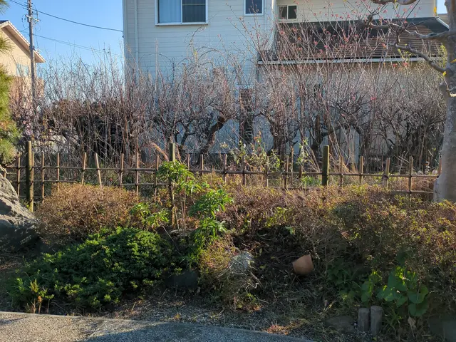 自社の職人たちがお庭を美しく整えます。処分費込み価格です。サービスの画像