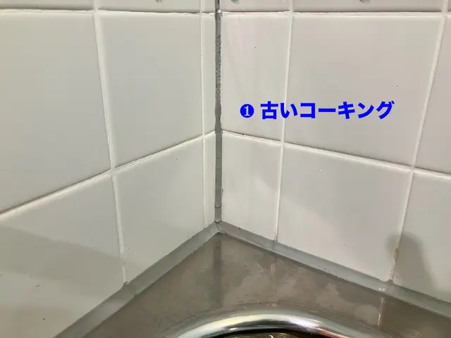 業界歴40年以上の職人技！室内の水廻りの他、ガラス・家具・壁・床・天井にも対応！サービスの画像