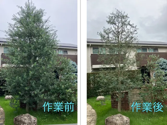 年末のお庭のお手入れ承ります！15年の経験、明朗会計、安心の仕上がり。サービスの画像