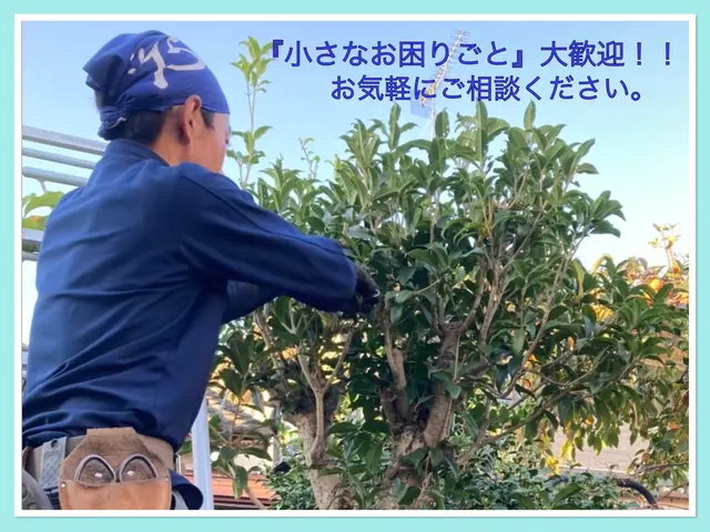 秋の剪定承ります。10/5空きあり！15年の経験、明朗会計、安心の仕上がりサービスの画像