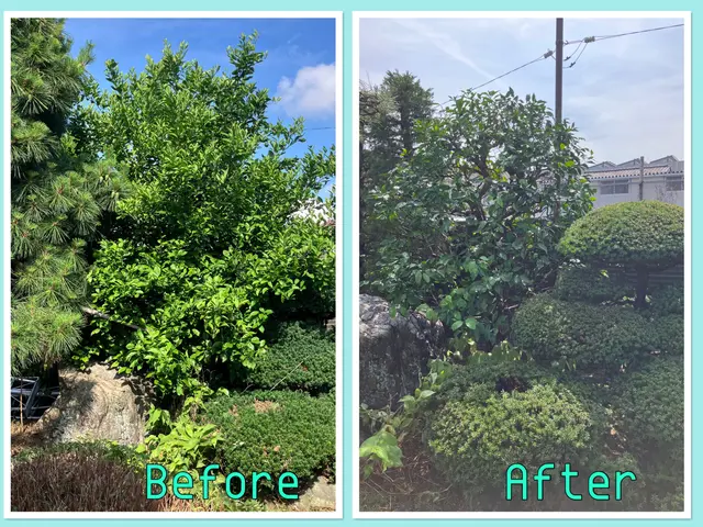 年末のお庭のお手入れ承ります！15年の経験、明朗会計、安心の仕上がり。サービスの画像