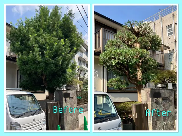 年末のお庭のお手入れ承ります！15年の経験、明朗会計、安心の仕上がり。サービスの画像