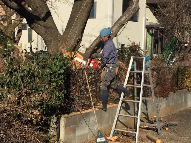 年末のお庭のお手入れ承ります！15年の経験、明朗会計、安心の仕上がり。サービスの画像