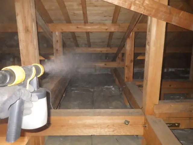 コウモリ駆除歴10年以上の有資格者多数在籍【事前見積り無料】【事前調査可能】サービスの画像