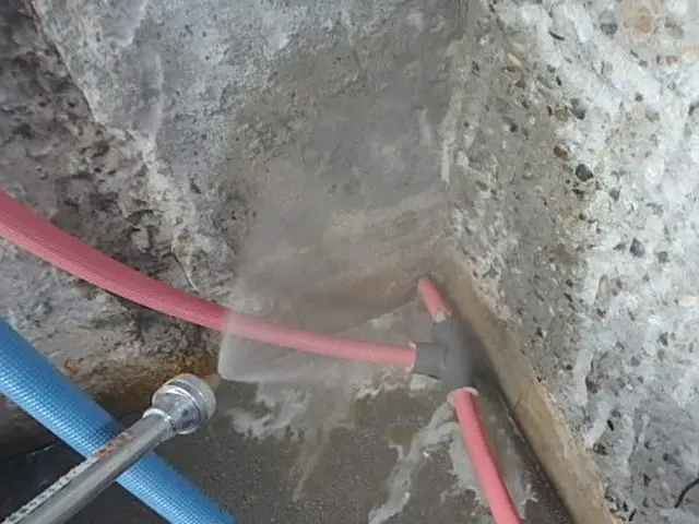 【名古屋発】作業・料金の丁寧な説明を約束◎ニオイや人体影響の無い優しい薬剤使用◎サービスの画像