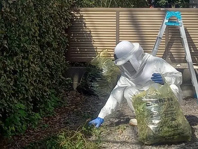 ★大分市・日田市・宇佐市・佐伯市指定駆除業者★安心・安全・確実のプロにお任せ！サービスの画像