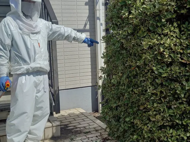 ★大分市・日田市・宇佐市・佐伯市指定駆除業者★安心・安全・確実のプロにお任せ！サービスの画像