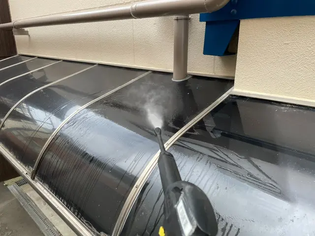 【カーポート洗浄】鳥のフンや落ち葉、高所で作業が難しい場所もお任せ下さい！サービスの画像