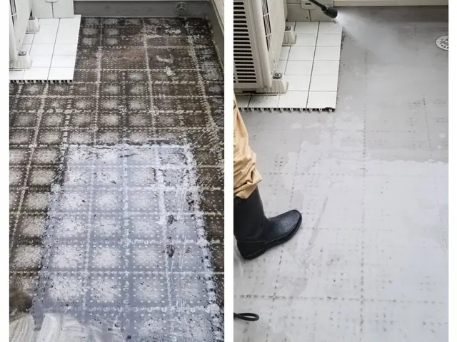 【カーポート洗浄】鳥のフンや落ち葉、高所で作業が難しい場所もお任せ下さい！サービスの画像