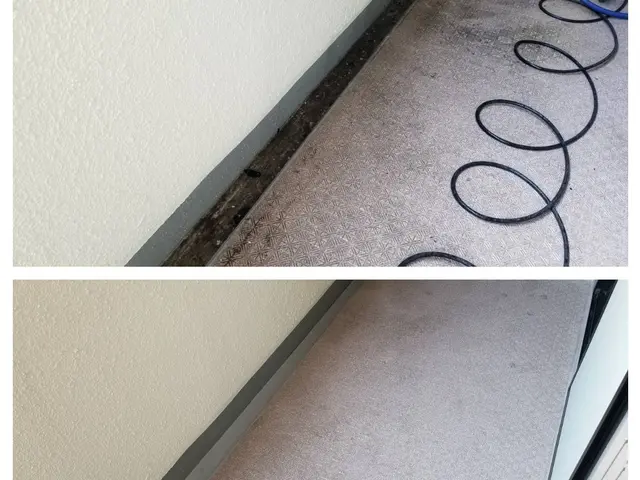 【カーポート洗浄】鳥のフンや落ち葉、高所で作業が難しい場所もお任せ下さい！サービスの画像