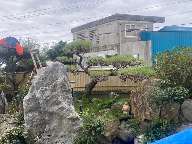 【新規出店】10年以上の業界歴！松の木、黒木の剪定もお任せください！サービスの画像