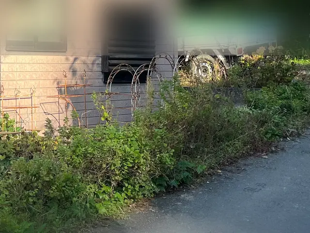 【草むしりでお庭をスッキリさせませんか？】お庭の草むしり(手作業)サービスの画像