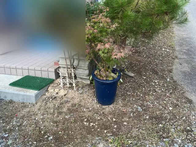 【草むしりでお庭をスッキリさせませんか？】お庭の草むしり(手作業)サービスの画像