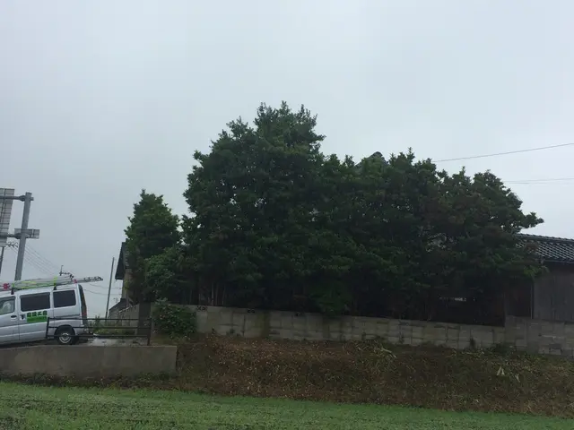 鳥取県西部で活動しています。お客様のご要望通りの仕上がりかしっかり確認します！サービスの画像