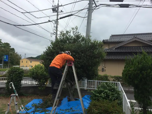 鳥取県西部で活動しています。お客様のご要望通りの仕上がりかしっかり確認します！サービスの画像