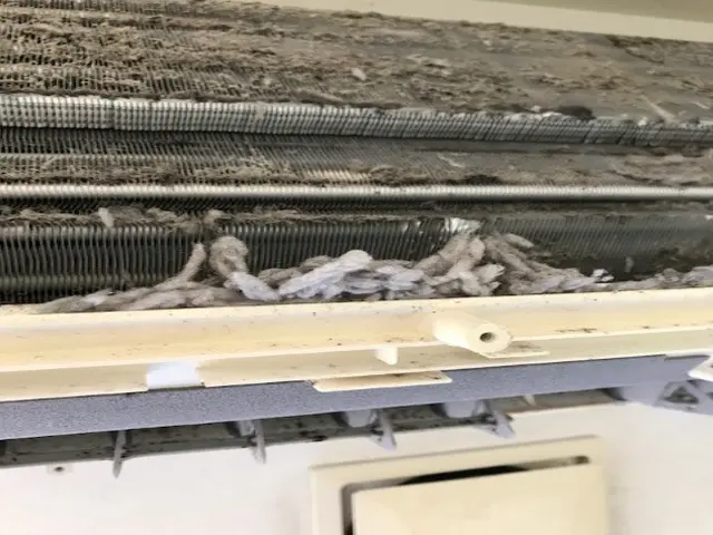 エアコンのカビを徹底洗浄しましょう★いつも二人でお伺い★丁寧な作業が好評ですサービスの画像