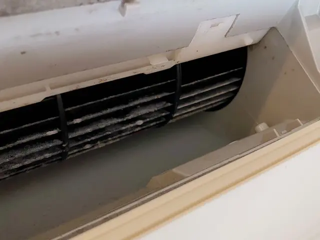 夏本番前にスッキリクリーンアップしませんか？カビや雑菌のニオイの根源からカットサービスの画像