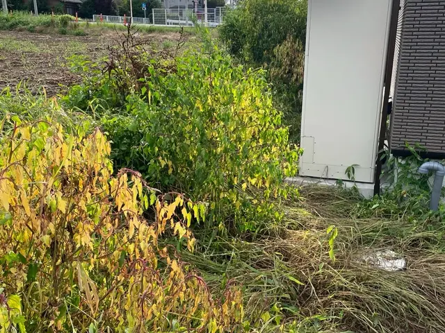 【★早朝4時から作業可能　★当日立ち会い不要　★安全・丁寧・一生懸命仕上げます】サービスの画像