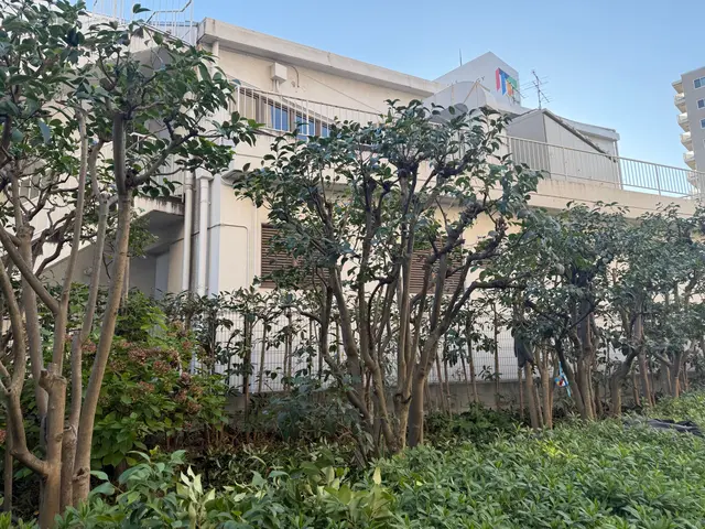 庭木スッキリ隊サービスの画像