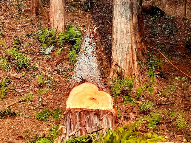 【業界18年！豊富な経験実績◎】完全自社対応！営業時間外の対応も相談可能です！サービスの画像