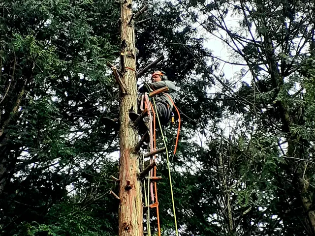 【業界18年！豊富な経験実績◎】完全自社対応！営業時間外の対応も相談可能です！サービスの画像