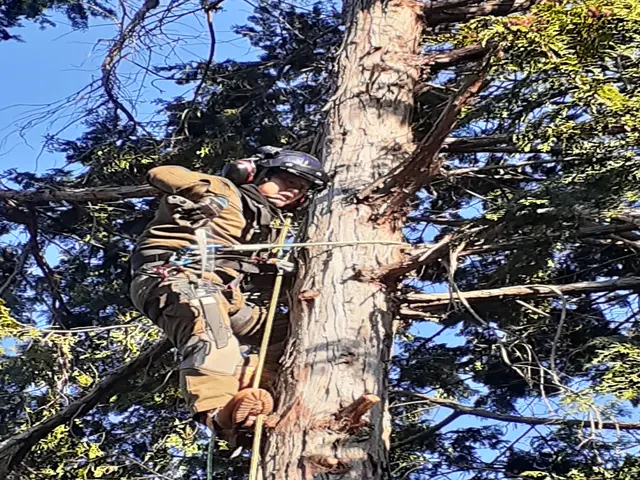 【業界18年！豊富な経験実績◎】完全自社対応！営業時間外の対応も相談可能です！サービスの画像