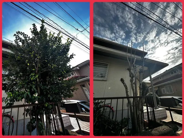 ★無料現場調査承っております♪お急ぎ案件も対応可能！！！あなたの木を私が守りますサービスの画像