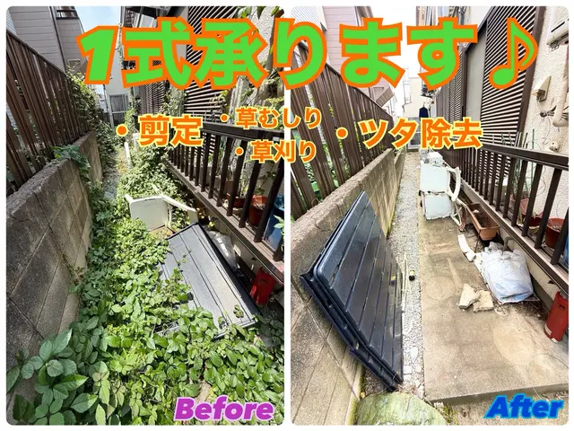 ★無料現場調査承っております♪お急ぎ案件も対応可能！！！あなたの木を私が守りますサービスの画像