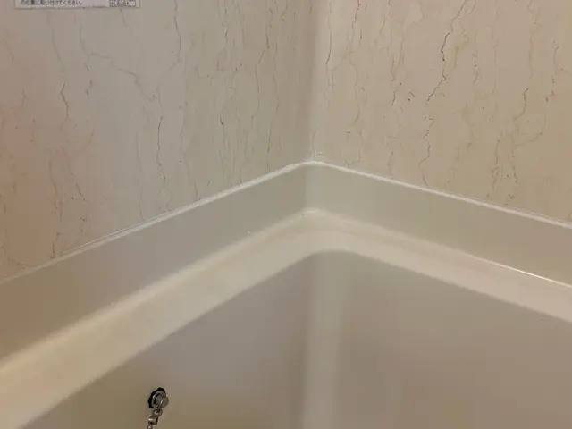 取れないカビにはコーキング打ち替えが最適です！お好きな色で対応可能！サービスの画像