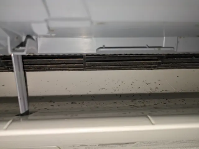 ★暖房に切替える前に★カビを退治★スッキリ快適に★サービスの画像