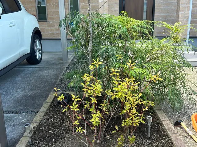 プロの技術でご満足いただけるように心を込めて作業いたしますサービスの画像